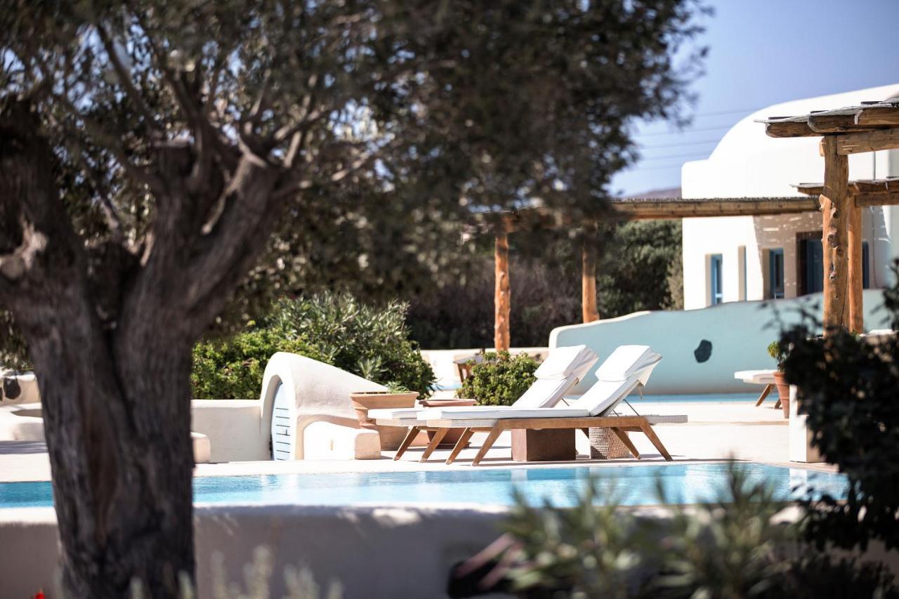 Hotel Black Rose 3*